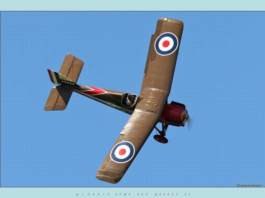MEETING DE LA FERTE ALAIS 2009 DE JPL   (67).jpg